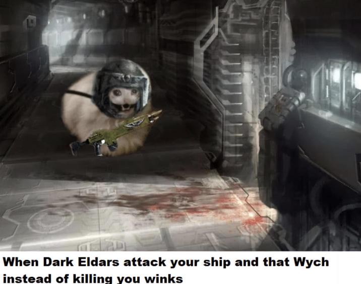 When Dark Eldars attack your ship and that Wych instead of killing you winks