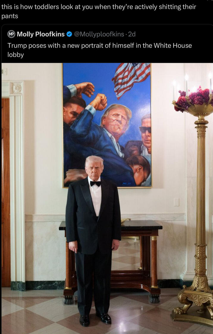 this is how toddlers look at you when they're actively s------- their pants MP Molly Ploofkins @Mollyploofkins - 2d Trump poses with a new portrait of himself in the White House lobby