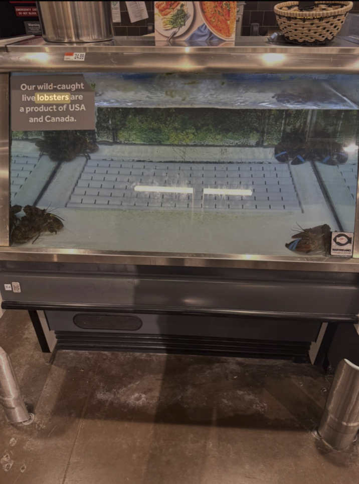 EMERGENCY EX DO NOT BLOCK Warning 24.99 Our wild-caught live lobsters are a product of USA and Canada. MARINELAND