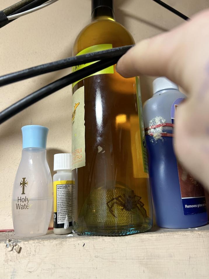 * Holy Water CONTAINS NO SOLVENTS Keep out of reach al pide FIN EYES: Rine water for several inse act lenses pentas CENTRE/doctor skin imitation o advicel attention persists Get mella tention Store in a w place Keep containe UF: LOGE-7025- Hotspot 51 Wa NW2 7TX UK tu +44 (0)20 ROI Excellence gay F Parade, Dubli Tel:+3531- USTRALIA FAUSTRALIA AUSTRALIA ZUZZE N Removes grime and