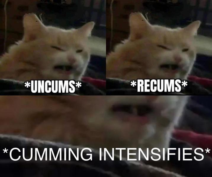 *UNCUMS* *RECUMS* *C------ INTENSIFIES*