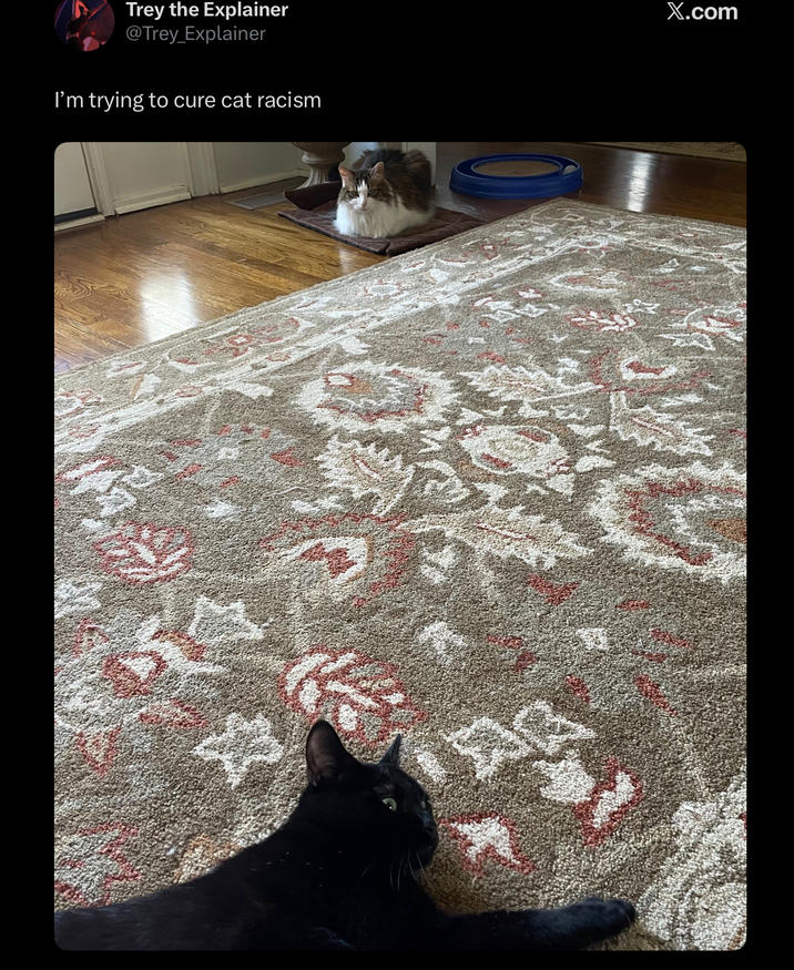 Trey the Explainer @Trey_Explainer I'm trying to cure cat racism X.com