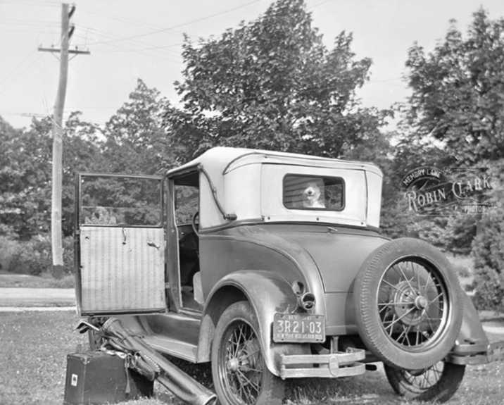 NY BY 3R21-03 MEMORY ROBIN LARK PHOTOS