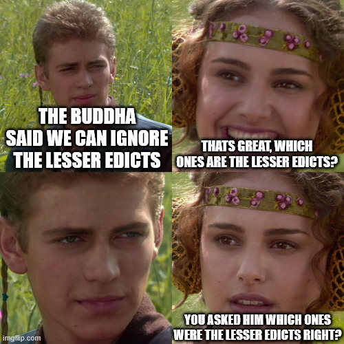 THE BUDDHA SAID WE CAN IGNORE THE LESSER EDICTS THATS GREAT, WHICH ONES ARE THE LESSER EDICTS? imgflip.com YOU ASKED HIM WHICH ONES WERE THE LESSER EDICTS RIGHT?