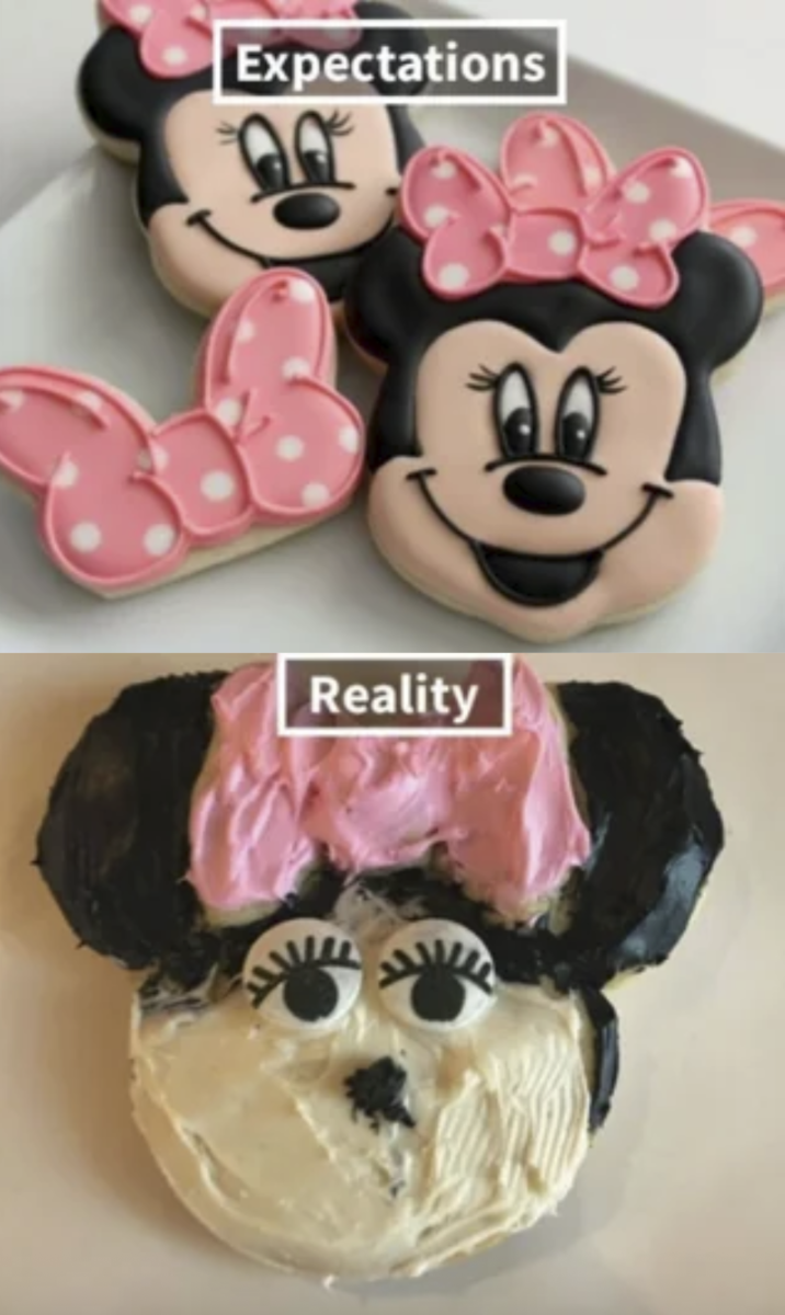 Expectations Reality no