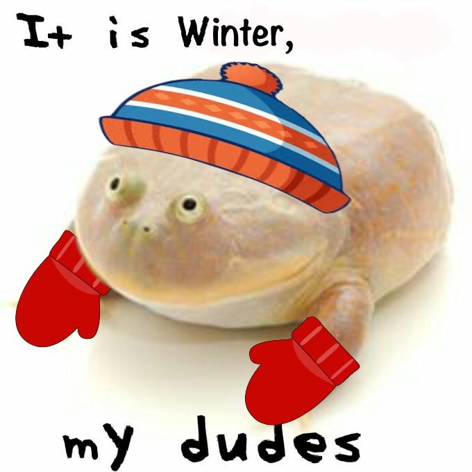 It is Winter, my dudes