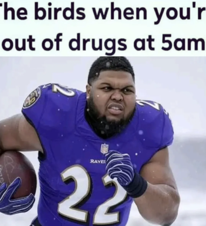 A "meme":https://knowyourmeme.com/memes/memes using the Druski Ravens "AI image":https://knowyourmeme.com/memes/cultures/ai-art, showing internet comedian "Druski":https://knowyourmeme.com/memes/people/druski as Baltimore Ravens running back Derrick Henry.