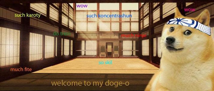 such karoty much fite do tr WOW such koncentrashun So skil muchy welcome to my doge-o WOW