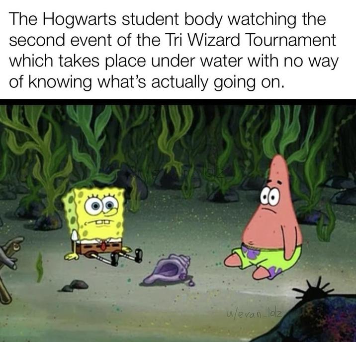 The Hogwarts student body watching the second event of the Tri Wizard Tournament which takes place under water with no way of knowing what's actually going on. w/evan lolz 8: