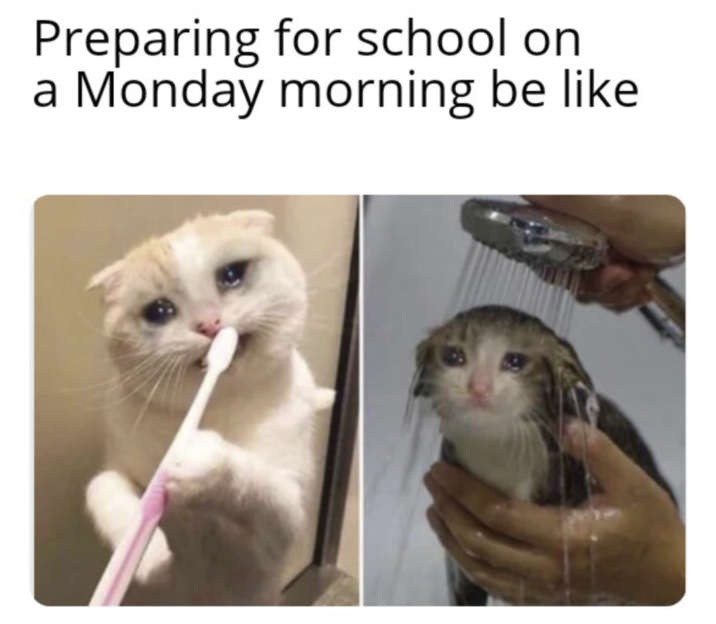 It's Back To Work, And Another Monday To Endure | Know Your Meme