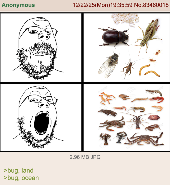 Anonymous 12/22/25(Mon) 19:35:59 No.83460018 2.96 MB JPG >bug, land >bug, ocean Q123RF