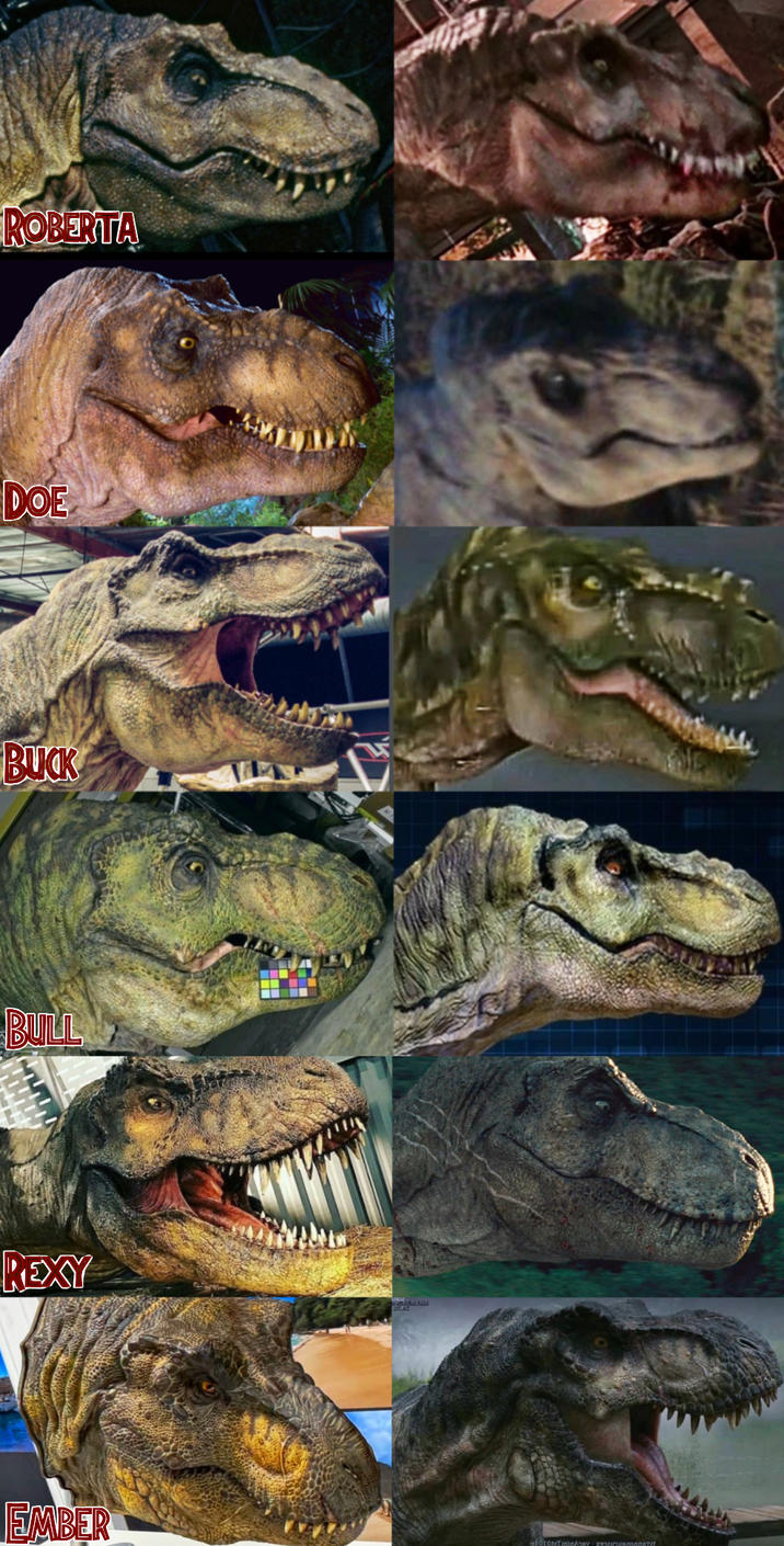 ROBERTA DOE BUCK BULL REXY EMBER gf010NTminA STV