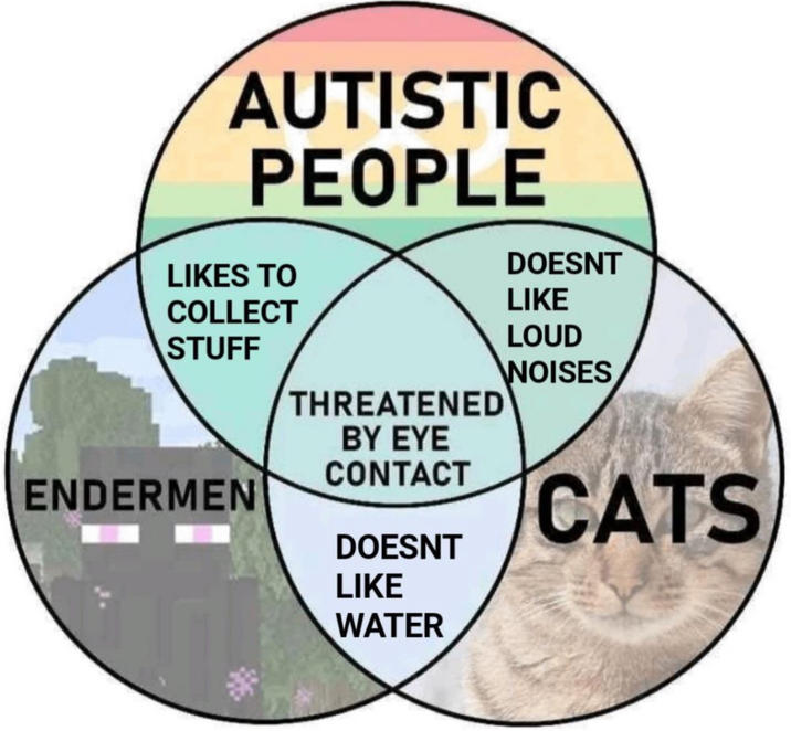 AUTISTIC PEOPLE LIKES TO COLLECT STUFF ENDERMEN THREATENED BY EYE CONTACT DOESNT LIKE WATER DOESNT LIKE LOUD NOISES CATS