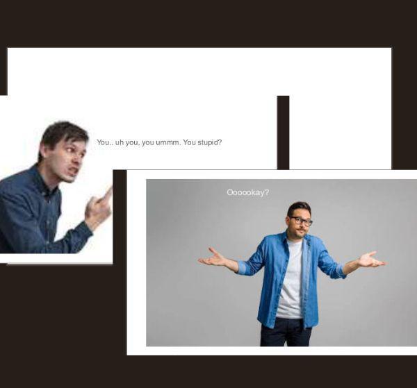 You.. uh you, you ummm. You stupid? Oooookay?