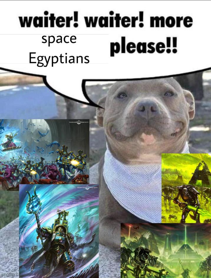 imgflip.c waiter! waiter! more space Egyptians please!! WARHAMMER COMMUNITY WARHAMMER COMMUNITY