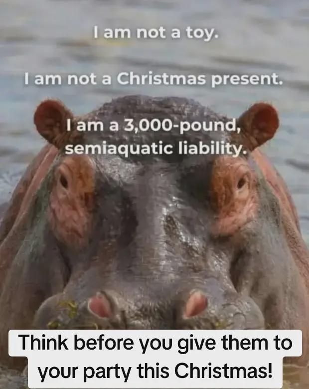 I am not a toy. I am not a Christmas present. I am a 3,000-pound, semiaquatic liability. Think before you give them to your party this Christmas!