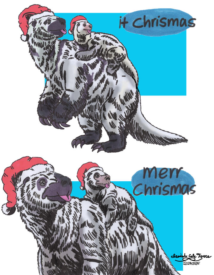 it Chrismas merr Chrismas Isaiah Cole Forre 12/24/2025