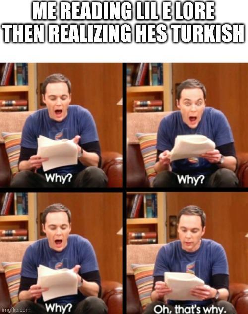 ME READING LILE LORE THEN REALIZING HES TURKISH Why? Why? Imgflip.com Why? Oh, that's why.