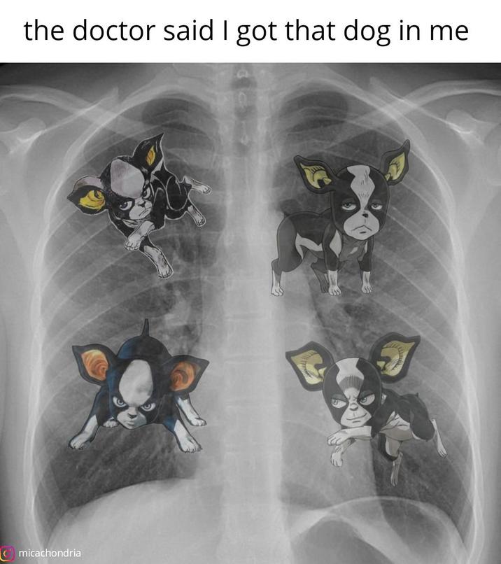 the doctor said I got that dog in me micachondria