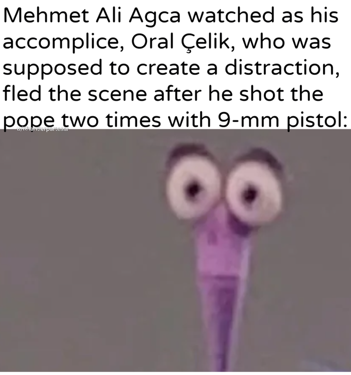 Mehmet Ali Agca watched as his accomplice, Oral Çelik, who was supposed to create a distraction, fled the scene after he shot the pope two times with 9-mm pistol: