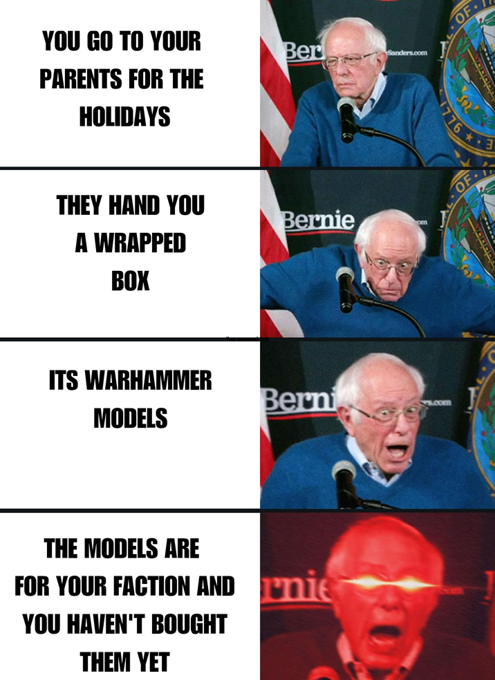 YOU GO TO YOUR PARENTS FOR THE HOLIDAYS Ber Sanders.com THEY HAND YOU A WRAPPED BOX ITS WARHAMMER MODELS Bernie om Berni Com THE MODELS ARE FOR YOUR FACTION AND nie YOU HAVEN'T BOUGHT THEM YET OF 1776 3 OF