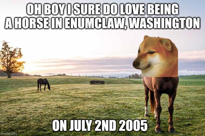 OH BOY I SURE DO LOVE BEING A HORSE IN ENUMCLAW, WASHINGTON imgflip.com ON JULY 2ND 2005