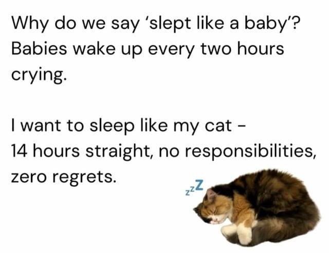 Why do we say 'slept like a baby'? Babies wake up every two hours crying. I want to sleep like my cat - 14 hours straight, no responsibilities, zero regrets. zzZ