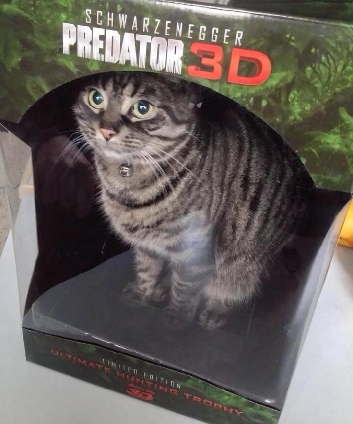 SCHWARZENEGGER PREDATOR 3D LIMITED EDITION ULTIMATE HUNTING TROPHY Chway AD