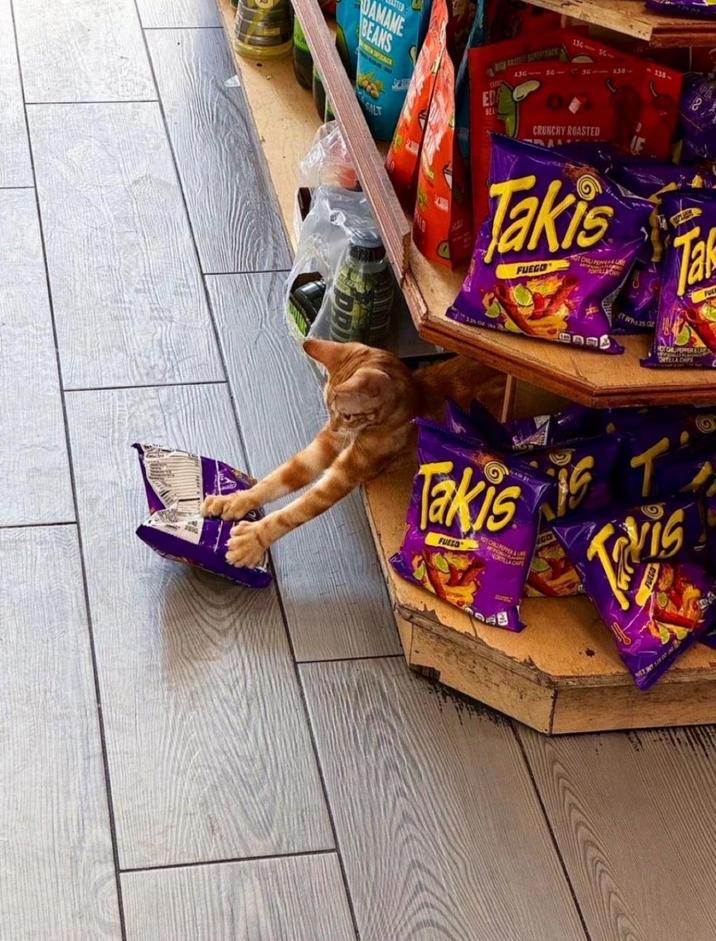 DAMAME BEANS DDJ HIGH RETTE SUPERTRAC 13650 130-55- 36-138 138 A BEA CRUNCHY ROASTED Takis FUEGO OPENER LE TW-3.25 02 Tak Takis is T FUECO HOT CHILI PE VORTILLA CHIPS