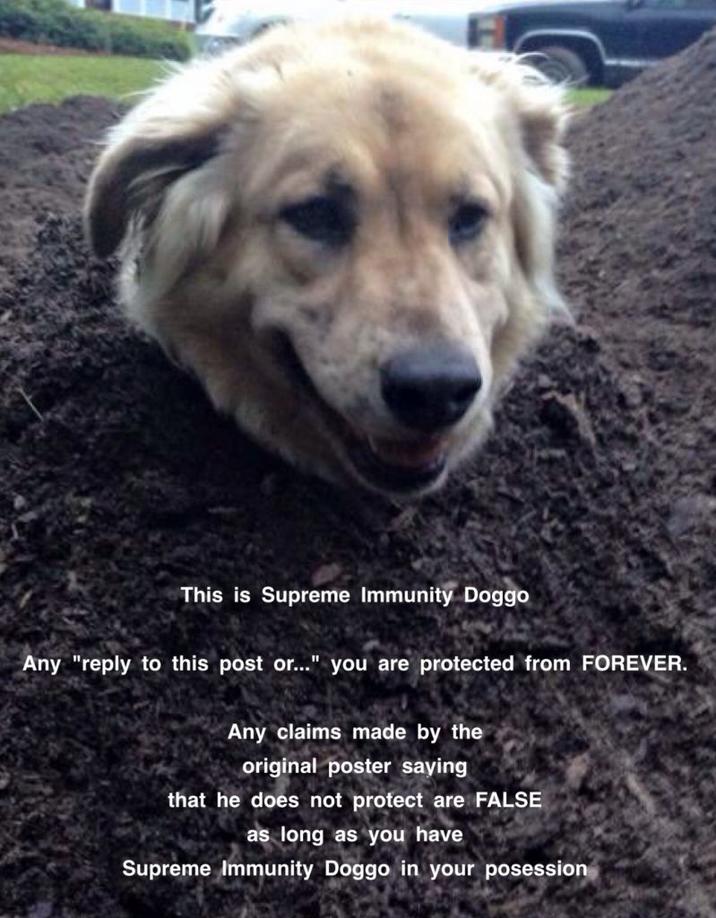 A version of the immunity dog meme. This is the supreme immunity doggo.