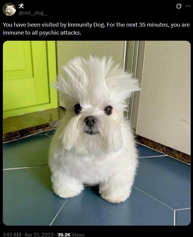犬 @not_dog_ You have been visited by Immunity Dog. For the next 35 minutes, you are immune to all psychic attacks. 1:43 AM - Apr 21, 2023 39.2K Views