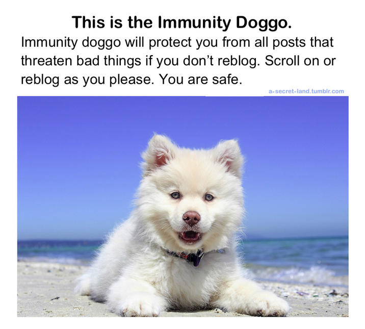 A Tumblr version of the immunity doggo meme.