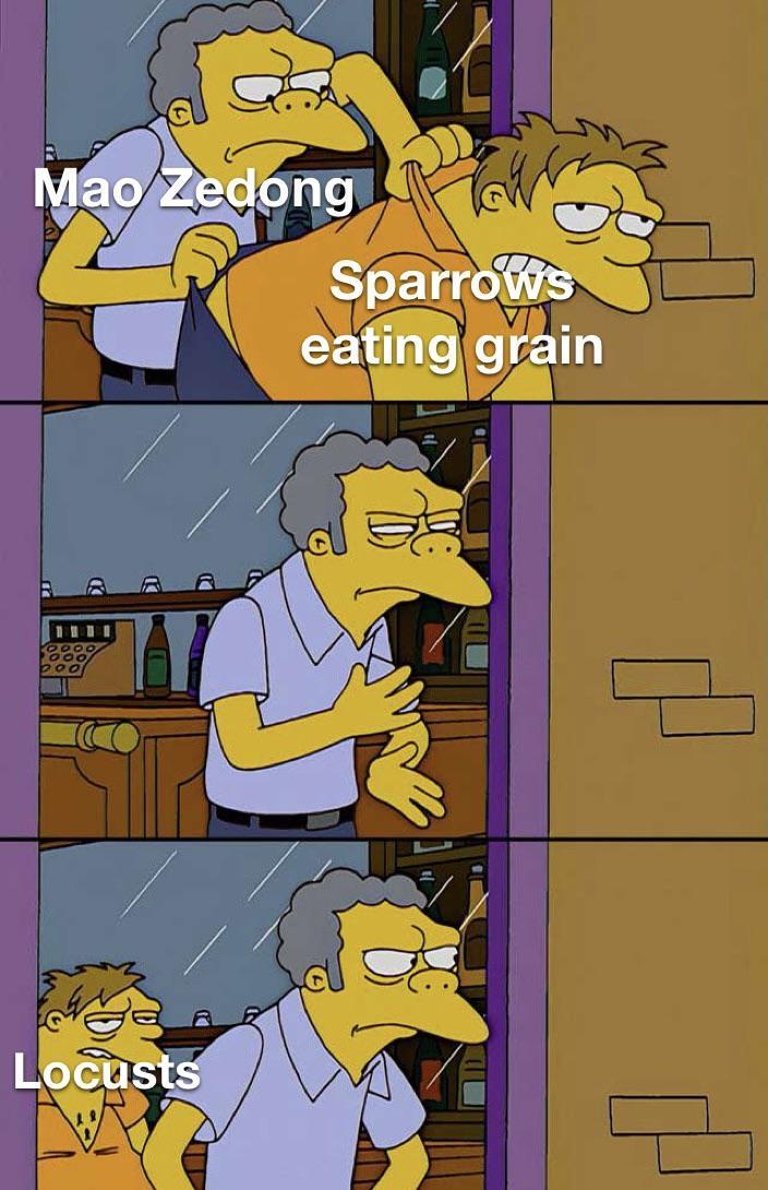 Mao Zedong Sparrows eating grain bool Locusts