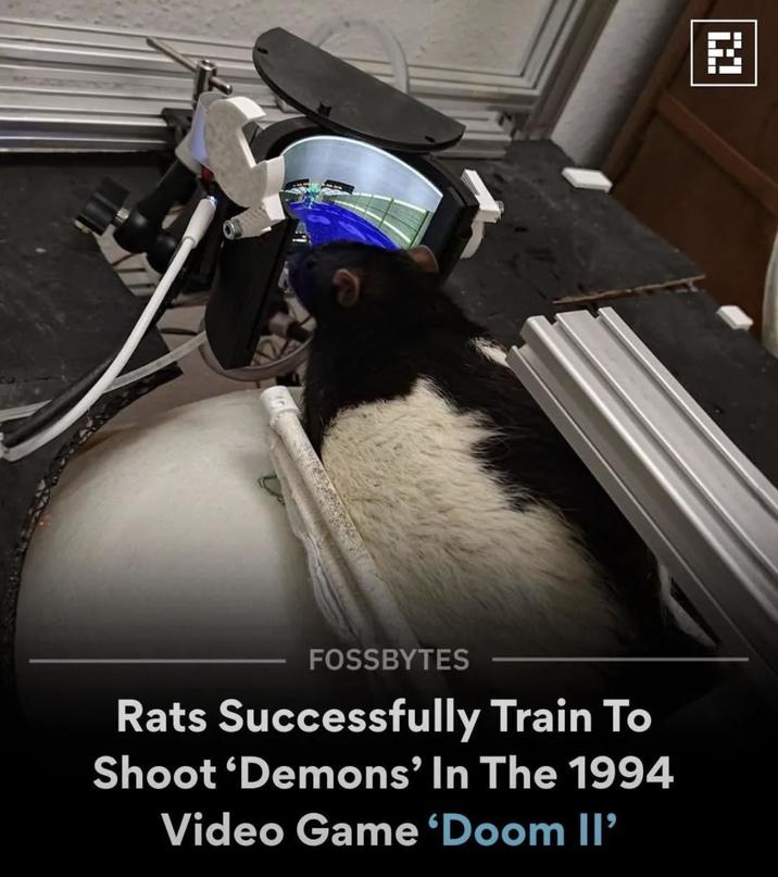 X FOSSBYTES Rats Successfully Train To Shoot 'Demons' In The 1994 Video Game 'Doom II'