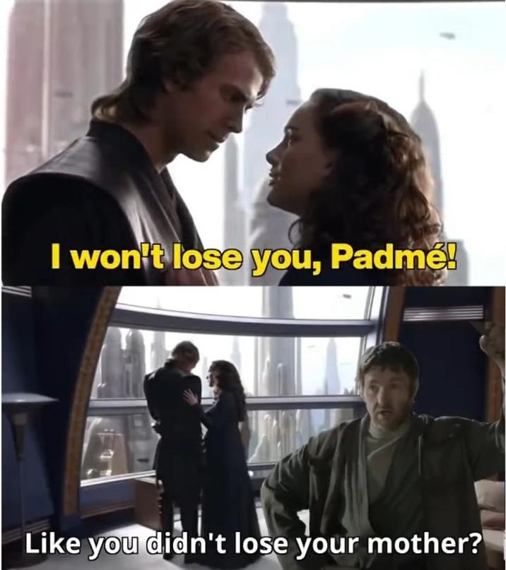 I won't lose you, Padmé! Like you didn't lose your mother?