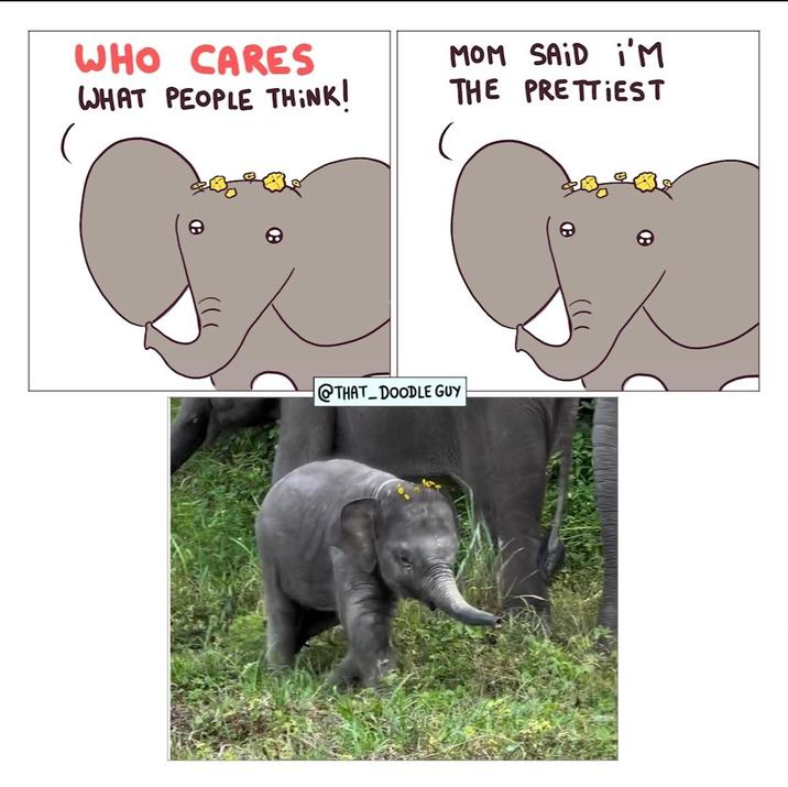 WHO CARES WHAT PEOPLE THINK! MOM SAID I'M THE PRETTIEST @THAT DOODLE GUY