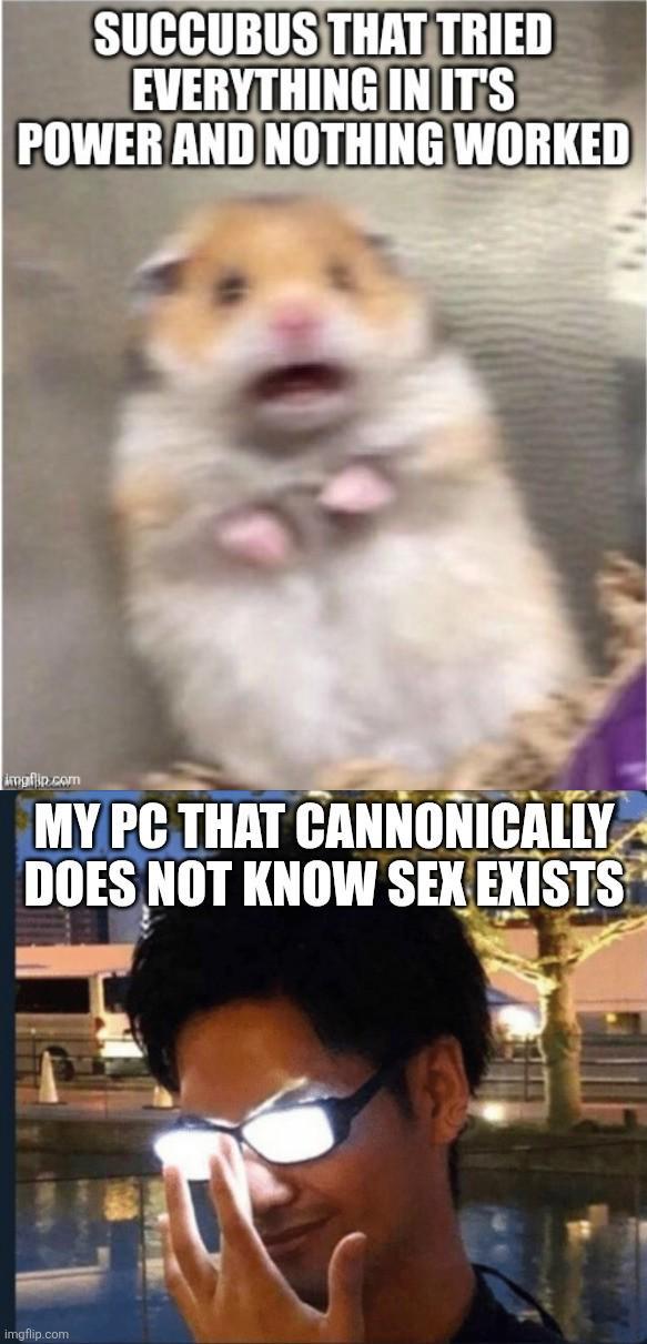 SUCCUBUS THAT TRIED EVERYTHING IN IT'S POWER AND NOTHING WORKED impfip.com MY PC THAT CANNONICALLY DOES NOT KNOW SEX EXISTS imgflip.com