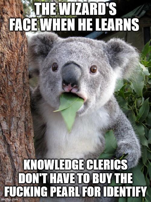 THE WIZARD'S FACE WHEN HE LEARNS KNOWLEDGE CLERICS DON'T HAVE TO BUY THE F------ PEARL FOR IDENTIFY imgflip.com