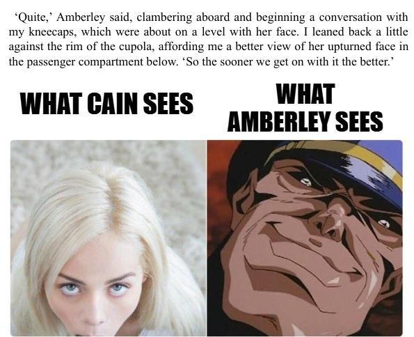 "Quite, Amberley said, clambering aboard and beginning a conversation with my kneecaps, which were about on a level with her face. I leaned back a little against the rim of the cupola, affording me a better view of her upturned face in the passenger compartment below. So the sooner we get on with it the better." WHAT CAIN SEES WHAT AMBERLEY SEES