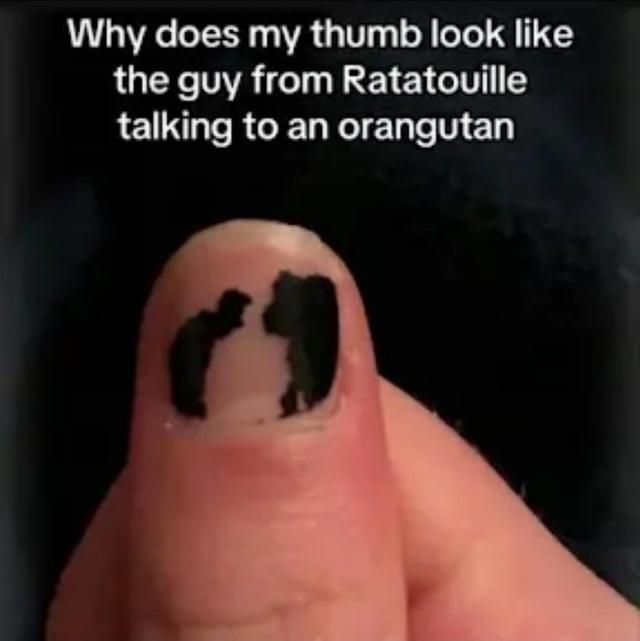 Why does my thumb look like the guy from Ratatouille talking to an orangutan