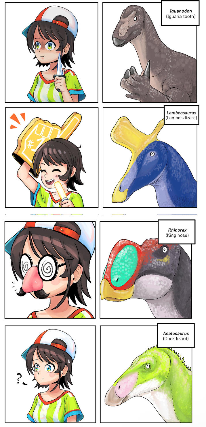 #7 Iguanodon (Iguana tooth) Lambeosaurus (Lambe's lizard) Rhinorex (King nose) Anatosaurus (Duck lizard)