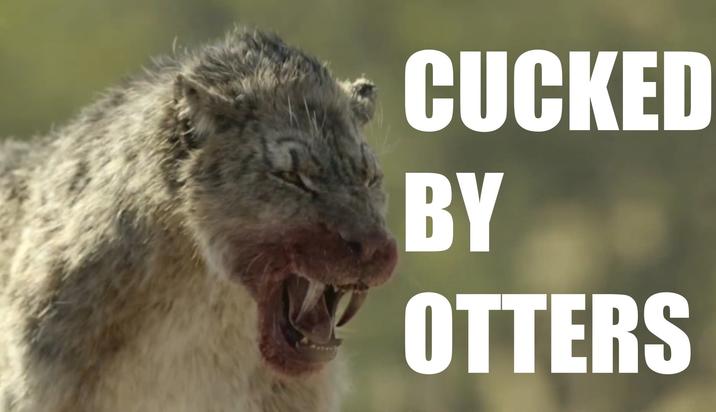 CUCKED BY OTTERS