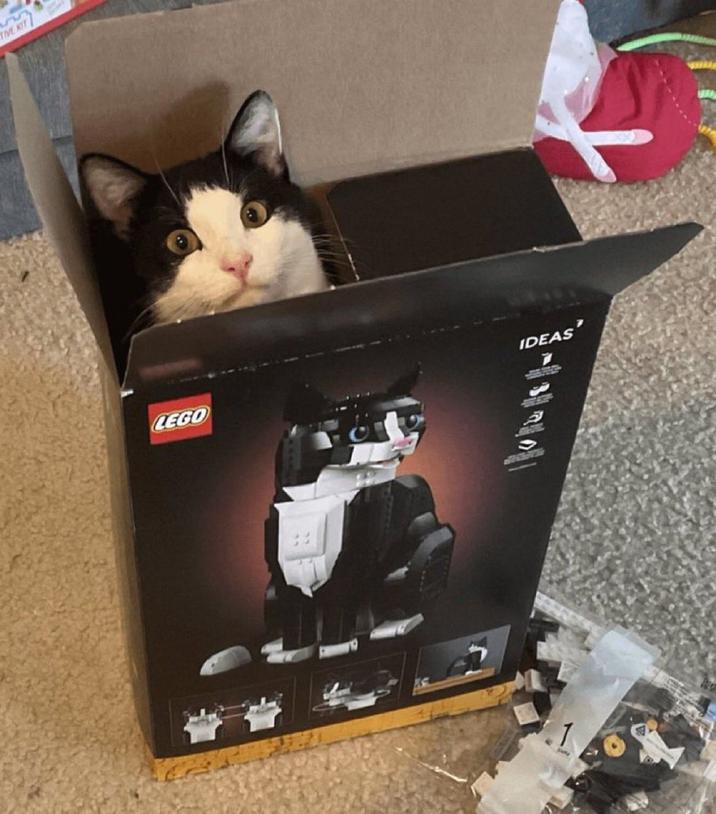 TIVE KIT LEGO IDEAS 1