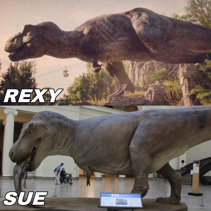 REXY SUE SJ B