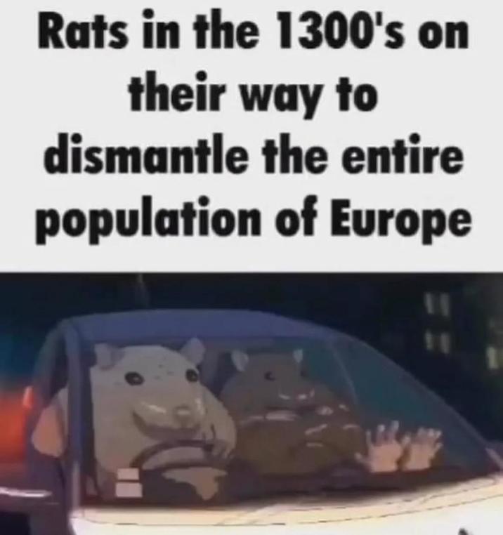 Rats in the 1300's on their way to dismantle the entire population of Europe