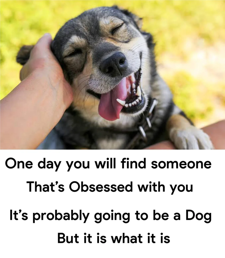 One day you will find someone That's Obsessed with you It's probably going to be a Dog But it is what it is
