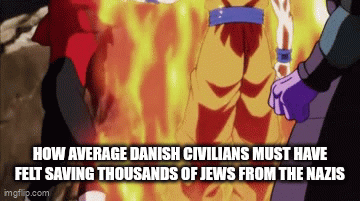 HOW AVERAGE DANISH CIVILIANS MUST HAVE FELT SAVING THOUSANDS OF JEWS FROM THE NAZIS imgflip.com