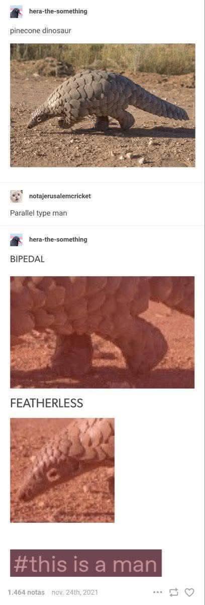 hera-the-something pinecone dinosaur notajerusalemcricket Parallel type man hera-the-something BIPEDAL FEATHERLESS #this is a man 1.464 notas nov. 24th, 2021