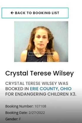 A screenshot showing that Crystal Wilsey, who went viral for being racist at Cinnabon, was arrested for child endangerment. This is alleged and not 100% verified.