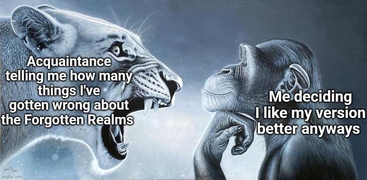 Acquaintance telling me how many things I've gotten wrong about the Forgotten Realms Me deciding I like my version better anyways imgflip.com